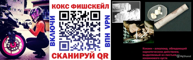 COCAIN Fish Scale  Нерехта 