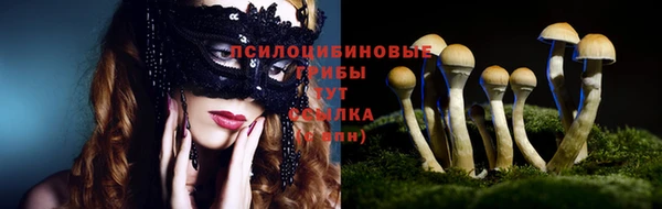 гидра Медвежьегорск
