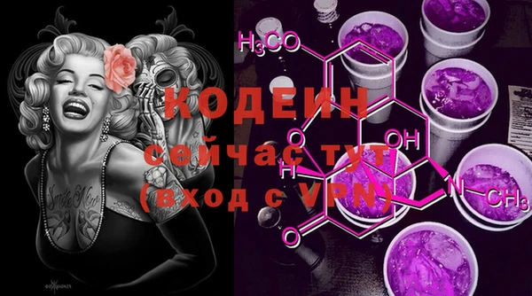 гидра Медвежьегорск