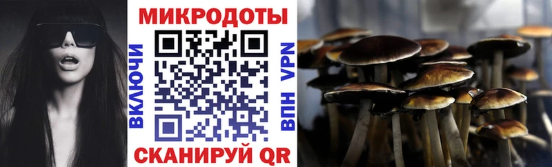 ОМГ ОМГ зеркало Нерехта Галлюциногенные грибы Psilocybine cubensis