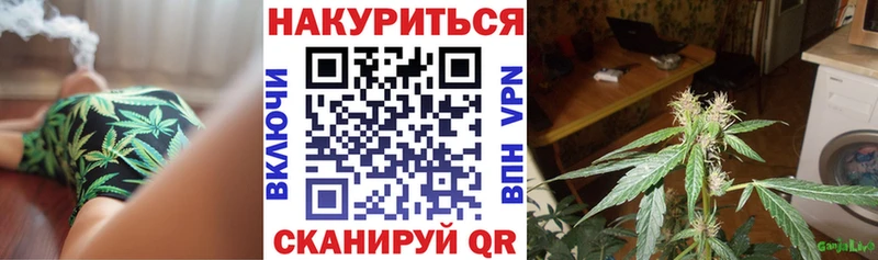 Марихуана MAZAR  OMG зеркало  Нерехта 